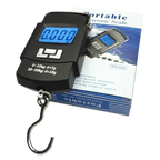 Portable Electronic Weight Scale (50 kg Capacity)